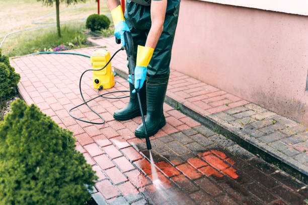 Best House Pressure Washing  in Winnfield, LA