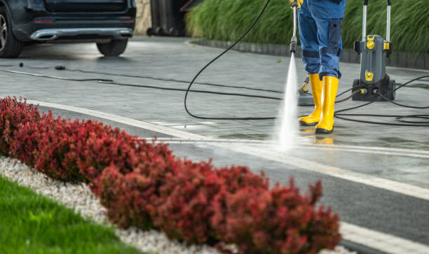 Best Pressure Washing Driveway  in Winnfield, LA